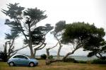 Citroen C3 Pluriel 2004 года